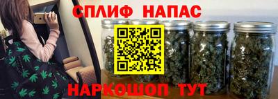 дмт Аша