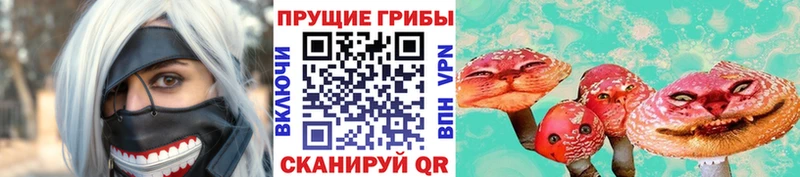 Галлюциногенные грибы Psilocybine cubensis Истра