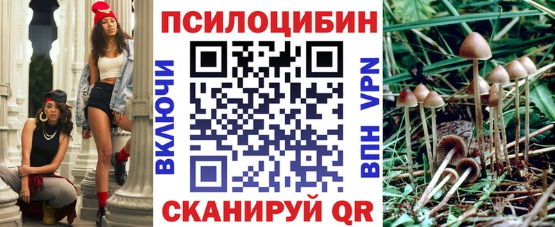 даркнет формула  Истра  Галлюциногенные грибы Psilocybe 