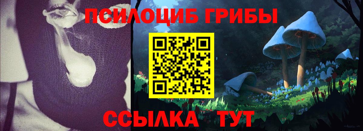 Галлюциногенные грибы Magic Shrooms  Вход с VPN  Псилоцибиновые грибы Psilocybe  Истра 